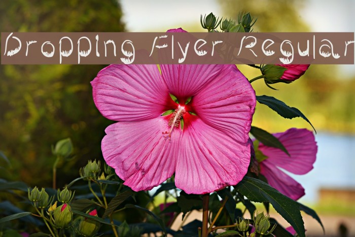 Dropping Flyer Regular Font examples