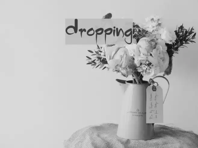 Dropping Font examples