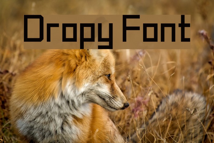 Dropy Font examples