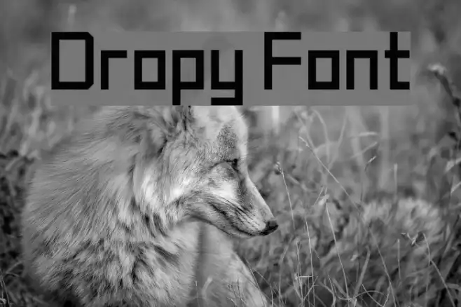 Dropy Example 1