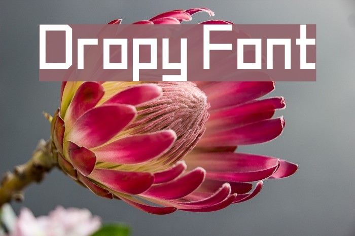 Dropy Font examples