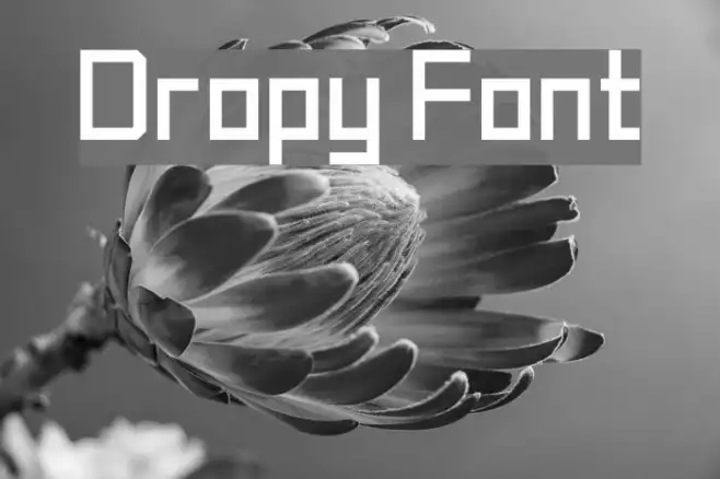 Dropy Example 3
