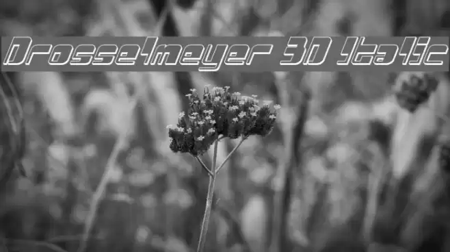 Drosselmeyer 3D Italic Font examples