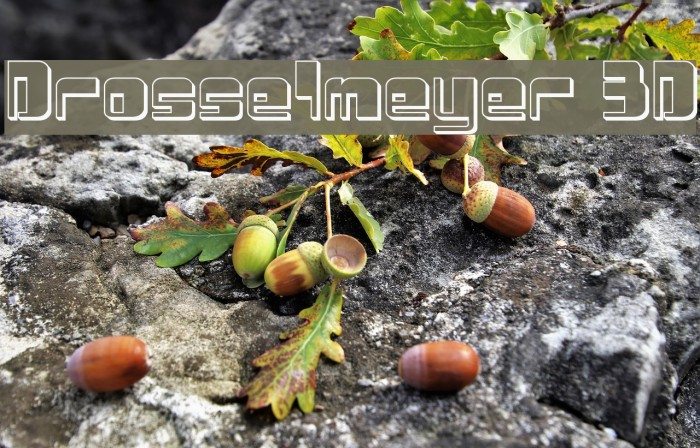 Drosselmeyer 3D Example 2