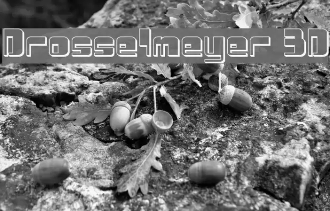 Drosselmeyer 3D Font examples