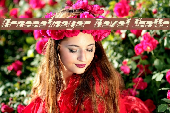 Drosselmeyer Bevel Italic Font examples