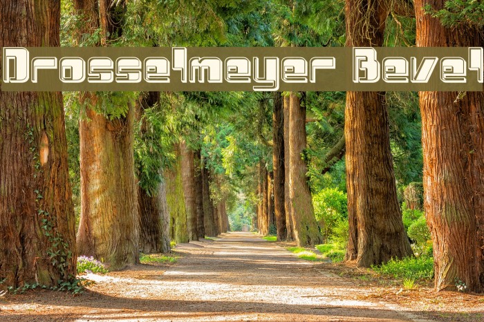 Drosselmeyer Bevel Font examples