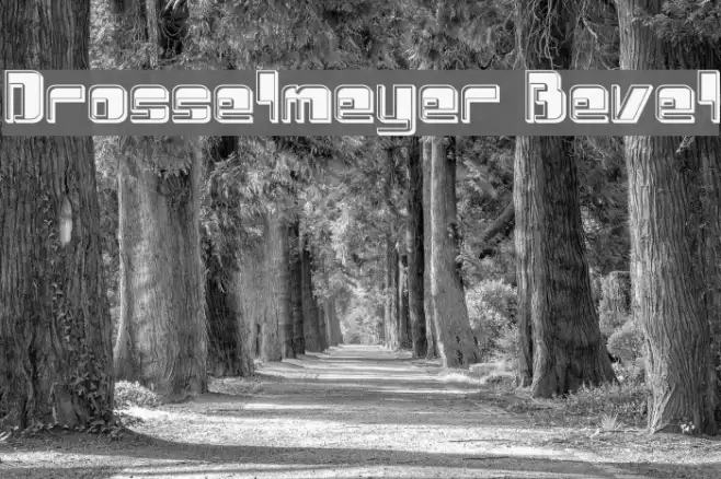 Drosselmeyer Bevel Example 2