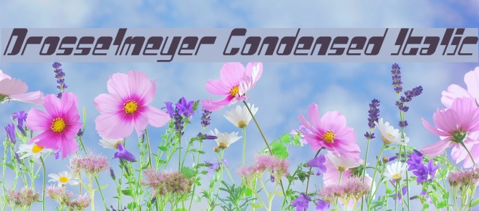Drosselmeyer Condensed Italic Font examples