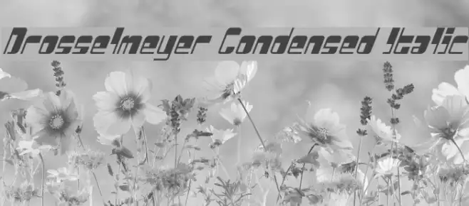 Drosselmeyer Condensed Italic Example 3