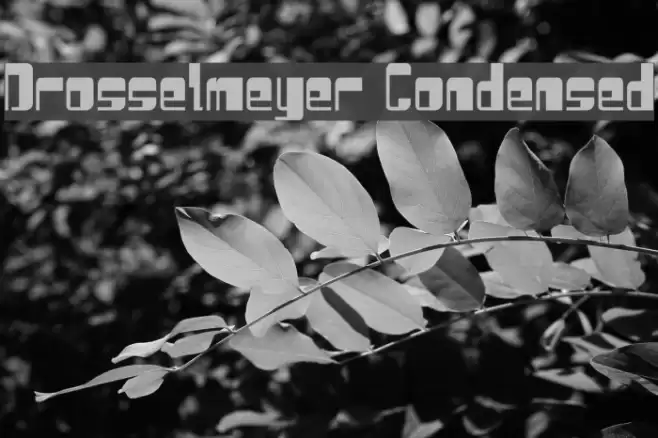 Drosselmeyer Condensed Font examples