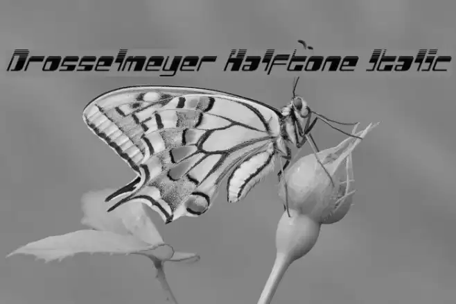 Drosselmeyer Halftone Italic Font examples