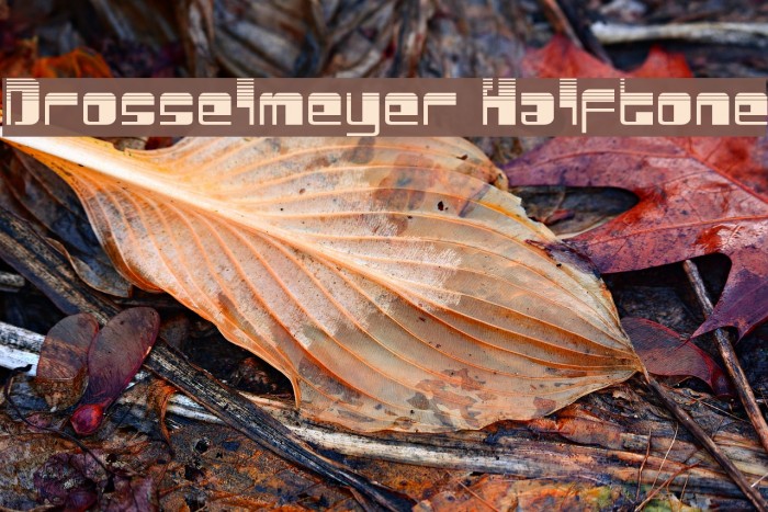 Drosselmeyer Halftone Example 2