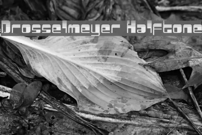 Drosselmeyer Halftone Font examples