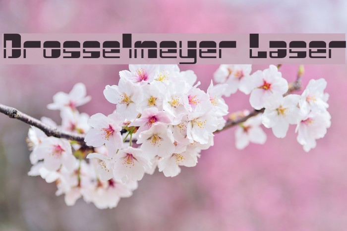 Drosselmeyer Laser Example 3