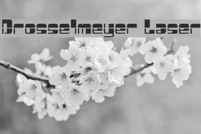 Drosselmeyer Laser Font examples