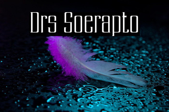 Drs Soerapto Example 2