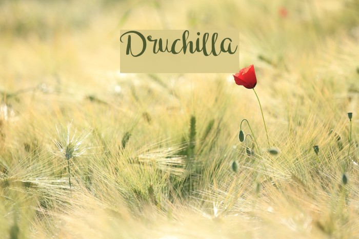 Druchilla Font examples