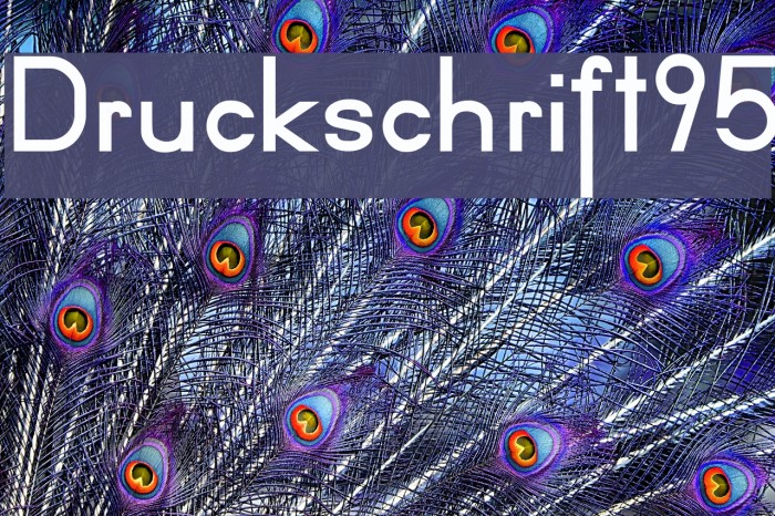 Druckschrift95 Example 2