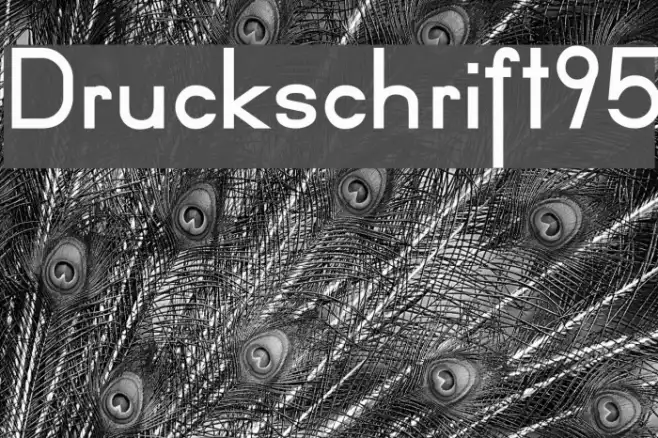 Druckschrift95 Example 2