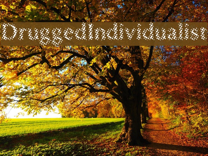 DruggedIndividualist Font examples