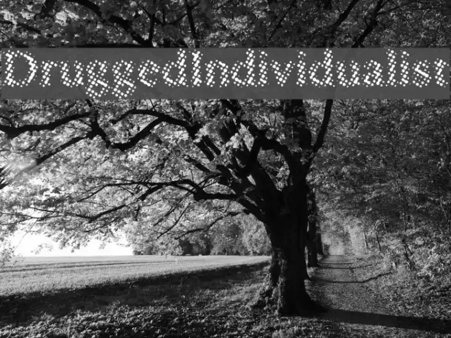 DruggedIndividualist Example 3