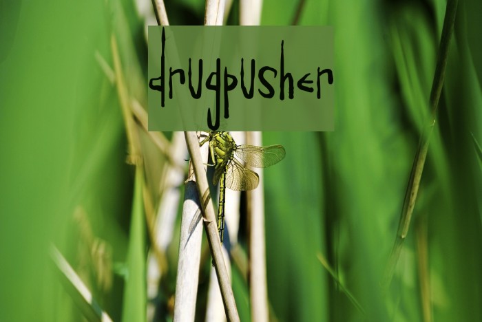 Drugpusher Font examples