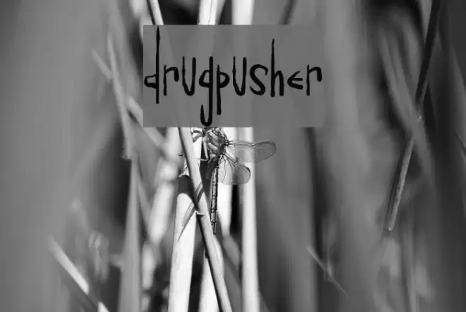 Drugpusher Шрифта examples