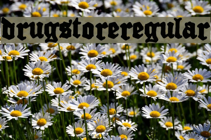 Drugstore  Regular Example 3