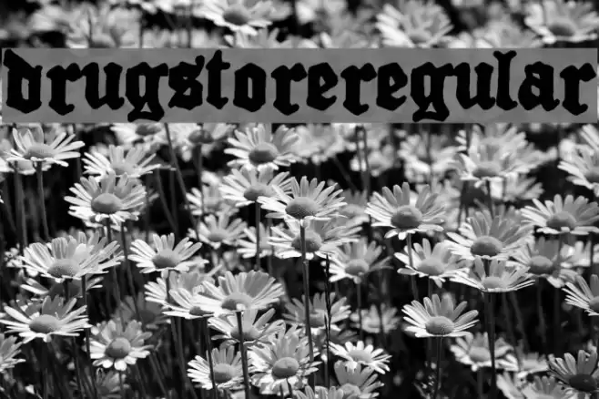 Drugstore  Regular Font examples