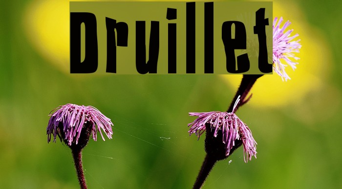 Druillet Font examples