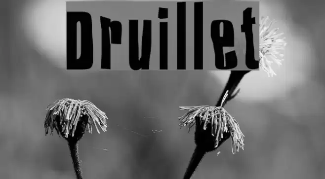 Druillet Polices examples