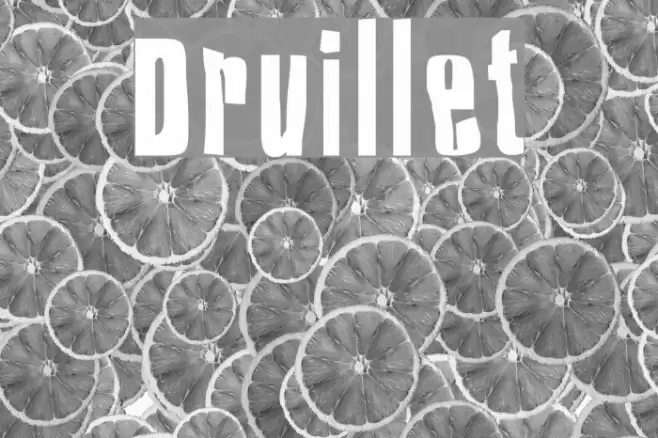 Druillet Polices examples