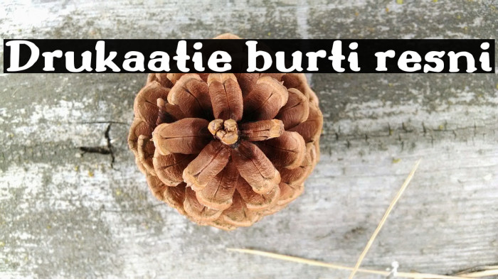 Drukaatie burti resni Fonte examples