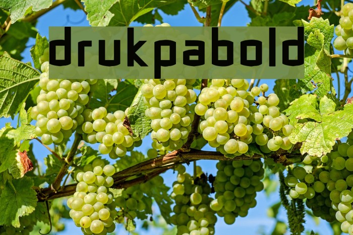 DrukpaBold Font examples