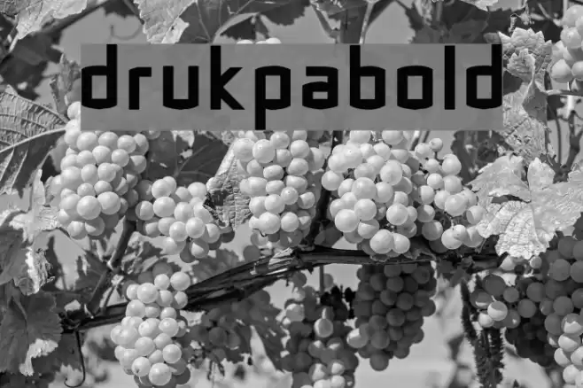 DrukpaBold Polices examples