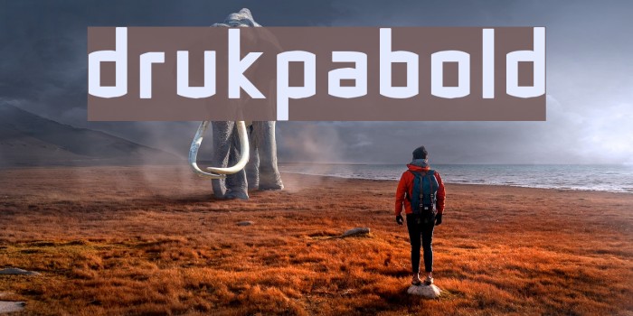 DrukpaBold Font examples
