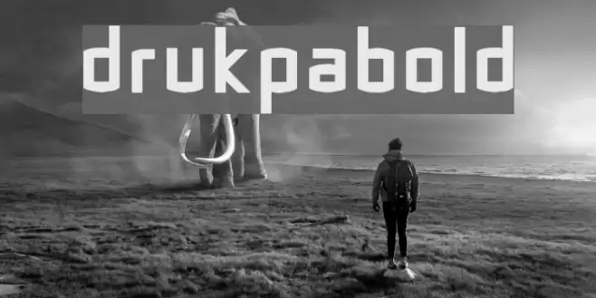 DrukpaBold Polices examples