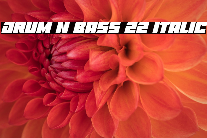 Drum N Bass 22 Italic Example 2