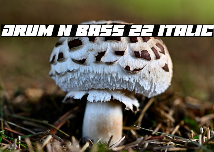 Drum N Bass 22 Italic Example 3