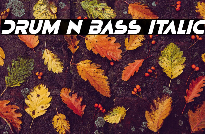 Drum N Bass Italic Example 2