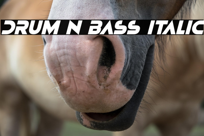 Drum N Bass Italic Example 3