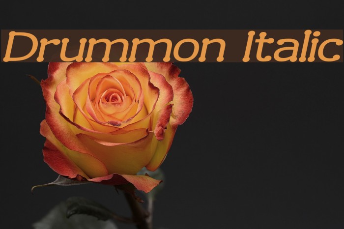 Drummon Italic Font examples