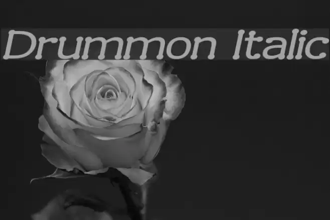 Drummon Italic Font examples