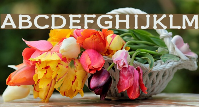 Drummon SemiBold Font examples