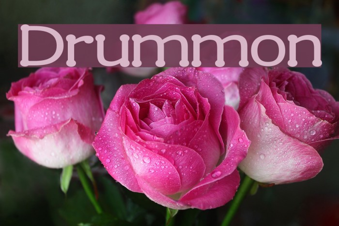 Drummon Font examples