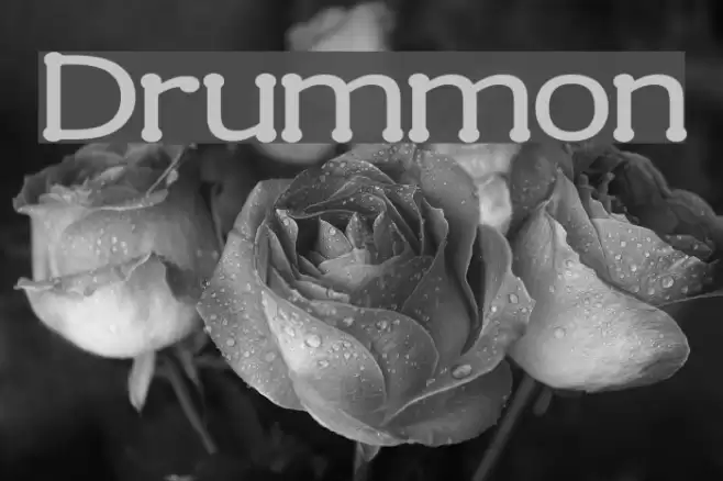 Drummon Schriftart examples