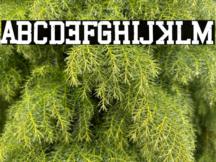 Drunk College Example 3