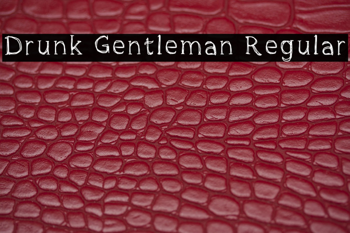 Drunk Gentleman Regular Example 3