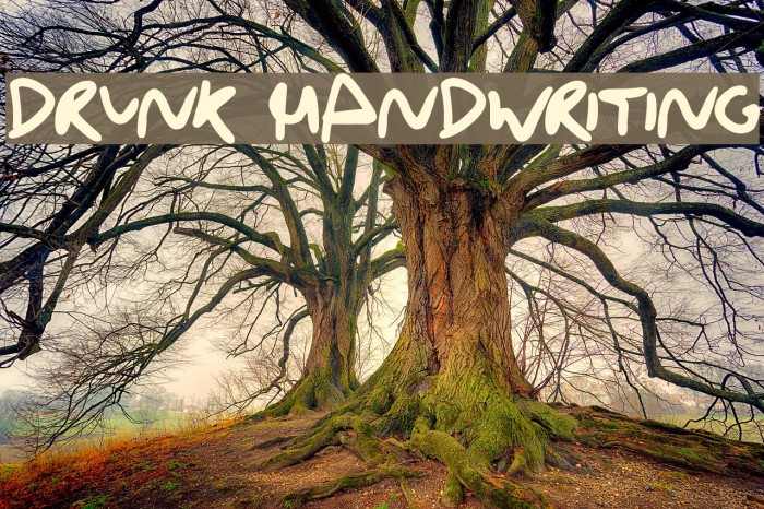 Drunk Handwriting Font examples